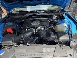 Home Page Images